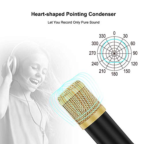 KELITINAus Micrófono Condensador Usb Bm800 Bm800 Micrófono en Forma de Corazón con Reducción de Ruido de Soporte 192Khz / 24 Bits Utilizados para el Podcast Youtube Stream Media,Negro,Soporte de Triá