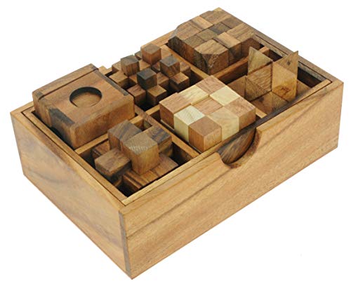 Namesakes Juegos de Rompecabezas (Juego de 6) - Rompecabezas 3D Rompecabezas Caja de Regalo de Madera Maciza - ¡Adultos y niños Divertidos!