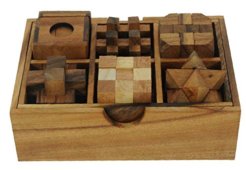 Namesakes Juegos de Rompecabezas (Juego de 6) - Rompecabezas 3D Rompecabezas Caja de Regalo de Madera Maciza - ¡Adultos y niños Divertidos!