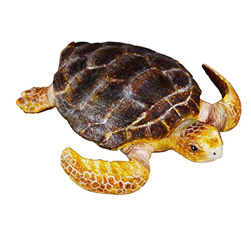 Collecta Tortuga Boba