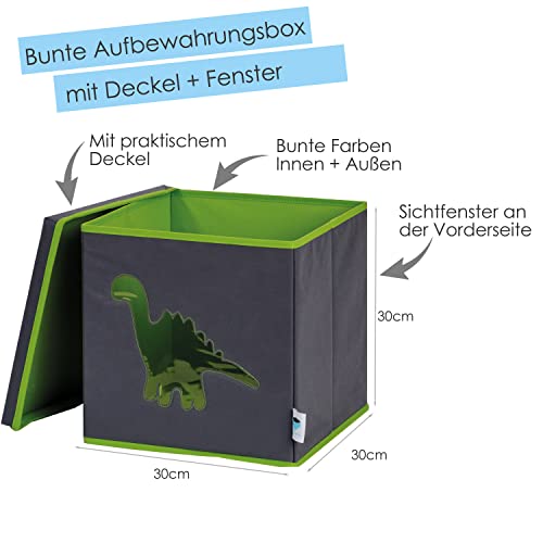 DE LA Tienda. IT 672067 de Juguete de Caja con Ventana de visualización Dino