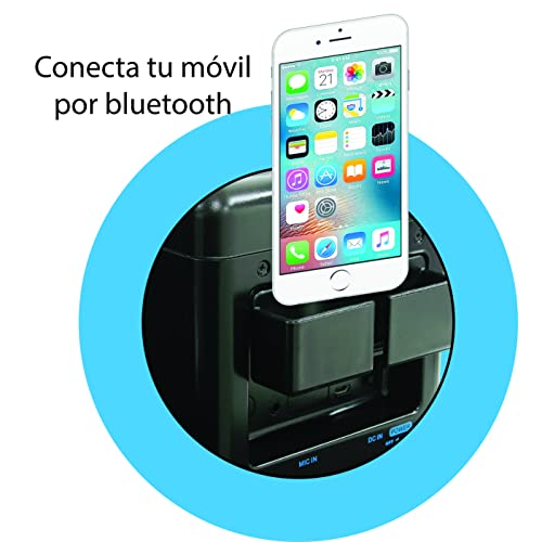 DEQUBE- Sistema inalámbrico de Karaoke con conexión Bluetooth a Dispositivos, Bola de Luces Disco incorporada, con bateria Recargable, Color Negro, Mediano (916D00038)