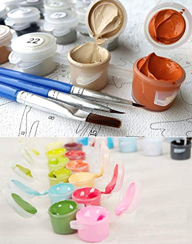 Fuumuui Pintar por Numeros para Adultos Niños,DIY Pintura por números de Kits Sin Marco -Frog 16 * 20 Pulgadas