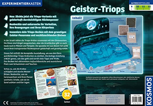 Geister-Triops: Züchte einzigartige Albino-Urzeitkrebse