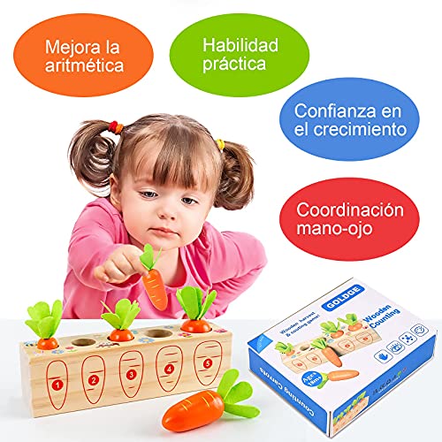 GOLDGE 2pcs Puzzle Juguetes Montessori 1 años, Juguetes de Madera para Bebés 1 año, Juguetes Educativos de Madera para Niños, Juego de Tirar de Zanahoria Números