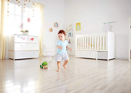 Hape Rana de Arrastre, Rana de Madera que Come Moscas Juguete para Pasear para Niñas y Niños pequeños, Colores Vivos