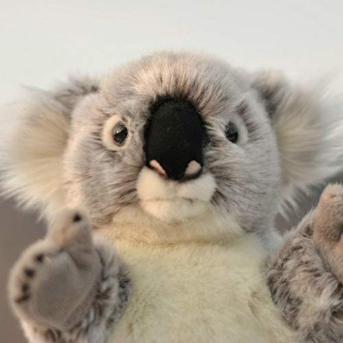 JMHomeDecor Peluche Animales Juguete Koala Dolls Niños Real Life Plush Koalas Doll Juguetes Tiendas