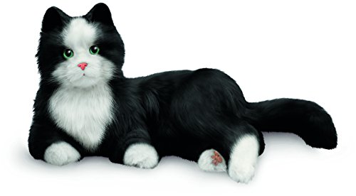 JOY FOR ALL- Companion Pet, Color Gato Esmoquin Blanco y Negro, 1.0000 (Hasbro C2308)