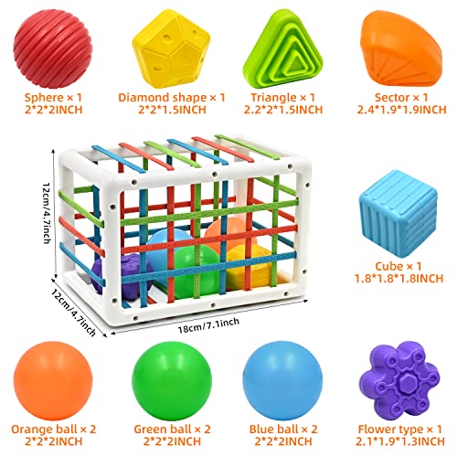 Juguetes de Habilidades Motoras para Bebé 6 9 12 15 Meses, Juegos Montessori Educativos Aprendiendo Caja de Clasificación Sensorial con 6 Piezas Textura Ball y 6 Bolas Blandas Juguetes niños 1 año