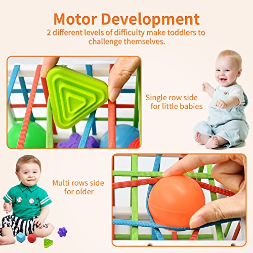 Juguetes de Habilidades Motoras para Bebé 6 9 12 15 Meses, Juegos Montessori Educativos Aprendiendo Caja de Clasificación Sensorial con 6 Piezas Textura Ball y 6 Bolas Blandas Juguetes niños 1 año