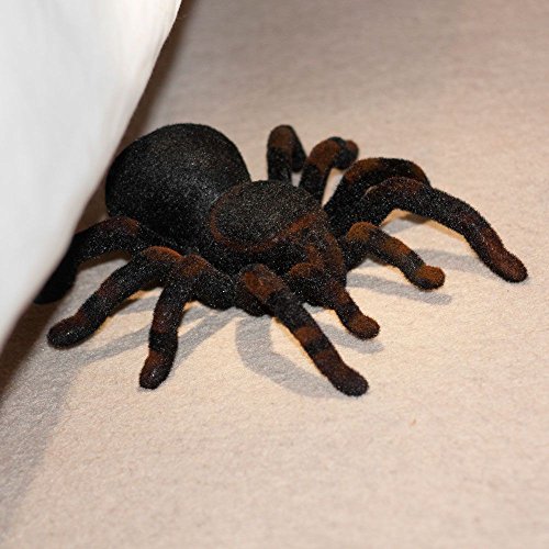 Mando A Distancia Tarántula - Varios, Tarantula