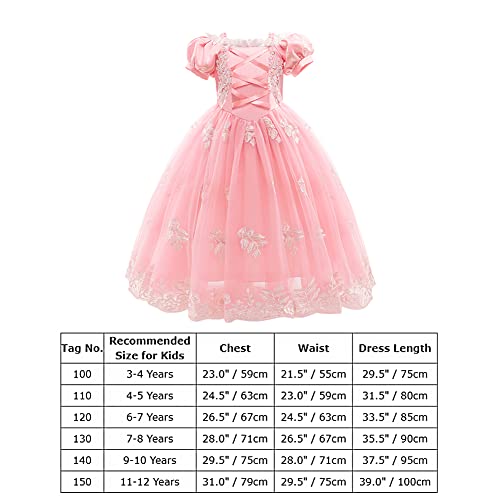 OBEEII Vestido de Niña Ceremonia Princesa Disfraz para Fiesta Carnaval Halloween Navidad Cosplay para Niñas Ropa para Niños Más Conjunto de Complementos Regalo Cumpleaños Camarón Rosado02 6-7 años