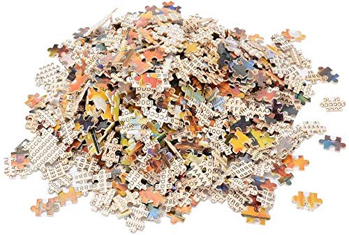 PANDABOOM Rompecabezas De 1000 Piezas Foto En Escala De Grises De Cebra Puzzles para Adultos, Regalo para El Día De La Madre