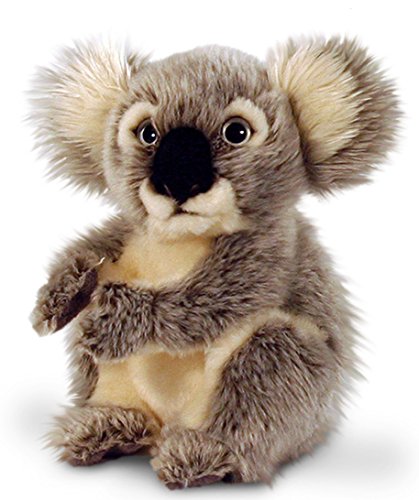 Peluche de koala, Keel Toys, peluche sentado, aprox. 20 cm