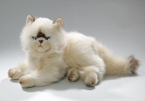 Peluche - Gato Persa (Felpa, 30cm) [Juguete] 3201