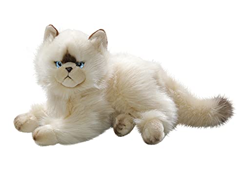 Peluche - Gato Persa (Felpa, 30cm) [Juguete] 3201