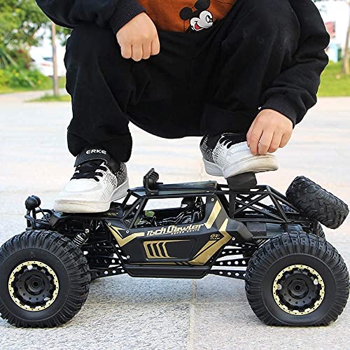 RC Dirt Bike High 2.4Ghz Radio Remote Control Car Speed Giant 1:10 RC Off Road Hobby Electric Fast Racing Rock Crawler Monster Truck Large Foot Alloy 4WD Climbing Cars Gift (Black 2 batterys)