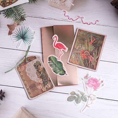 RisyPisy 240 Piezas Flores Stickers, Color Diseños Dorados y Negros, PET Pegatinas con Formas Especiales, Pegatinas de Estilo Europeo para Scrapbooks, Portátiles, Calendarios, Tarjetas de Felicitación