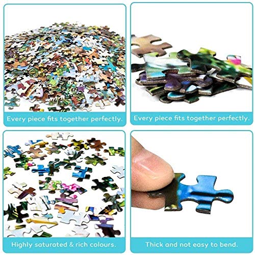 Rompecabezas de Ciencia y Arte de España Ciudad Valencia para Adultos Niños 1000 Piezas Puzzle Juego de Madera para Regalos (Compra 1000 piezas de rompecabezas y consigue 300 piezas gratis)