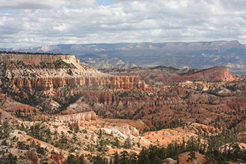 Rompecabezas Rompecabezas De 1000 Piezas Parque Nacional Bryce Canyon para Niños Adultos