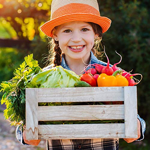 Science4you-El Pequeño Granjero-Kit Jardinería con 12 Eco Experimentos: Planta tu Propio Huerto Ecológico-Juegos y Juguetes Científicos y Educativos 4+ Años, Regalo Original Niñas (80002462)