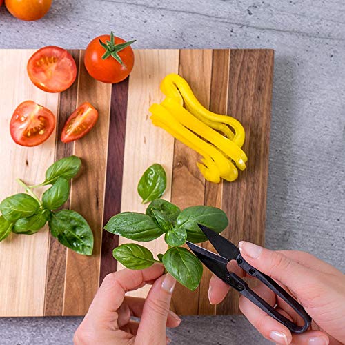 Véritable - Mini tijeras para hierbas aromáticas para jardín de interior