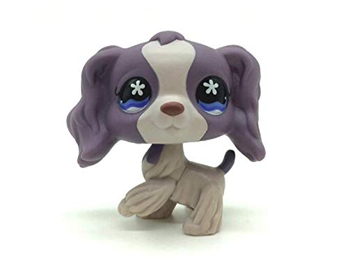 WooMax Littlest Pet Shop Juguete morado Cocker Spaniel Perro Cachorro Flor Ojos Juguete #672 Para Niños Niñas Niños Regalo