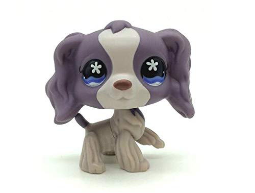 WooMax Littlest Pet Shop Juguete morado Cocker Spaniel Perro Cachorro Flor Ojos Juguete #672 Para Niños Niñas Niños Regalo