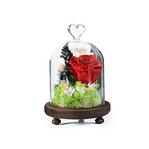 ZHUZEwei Flor Artificial Rosa roja Eterna Belleza y Bestia Salvaje Hecho a Mano de Rose y de Regalo Creativo hámster es Conveniente for