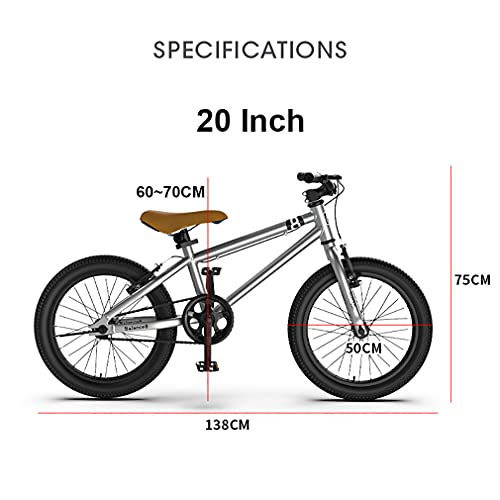 16/20 Pulgadas Bicicleta MontañA NiñO Bicicleta Infantil MontañA,Freno En V/Cuadro Acero Con Alto Contenido Carbono/Rueda Auxiliar ExtraíBle/NiñOs Mayores 6AñOs/Guardabarros Gratis