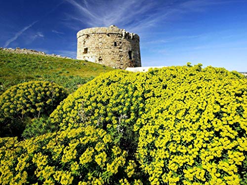 Adulto Puzzle 500 Piezas De Madera Rompecabezas Puzzles Juguetes Educativos- Paisajes Naturales De Menorca - Decoración Única Para El Hogar