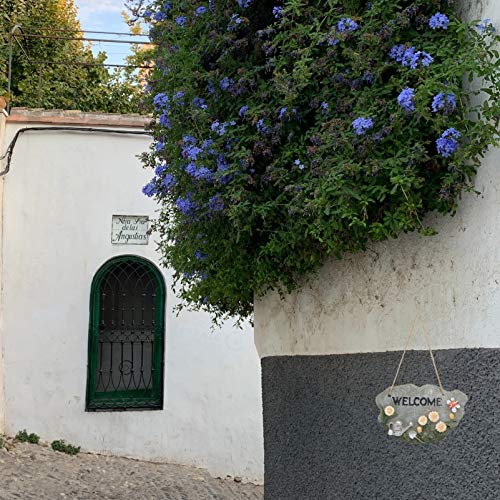 Angoily Puerta Colgante de Jardín Signo de Resina Pórtico Bienvenido Colgante Signo Novedad Decorativa Puerta Frontal Placa de La Puerta Jardín Saludo CAFÉ Tienda Puerta Decoración Placa