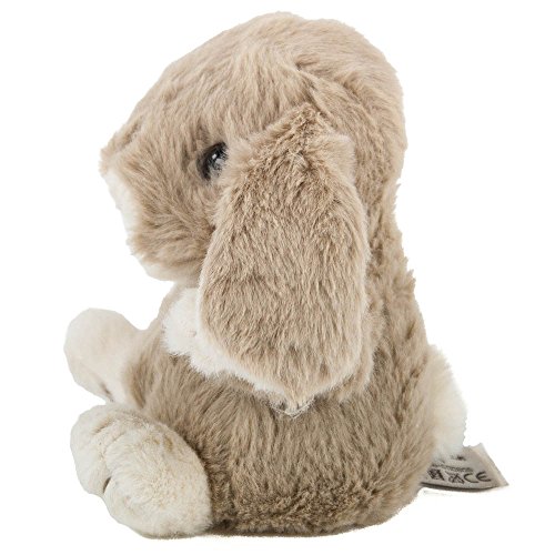 Barbara Bukowski Conejo Kanini en paloma de peluche (15 cm)