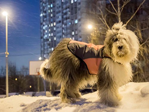 BLACKDOGGY Abrigo Impermeable para Perros Abrigo de Perro con Velcro fácil de Usar cómoda Ropa de Abrigo de Lana de Polo Grande para el Exterior y el Clima frío Vinculante Reflejo Visible en la Noche