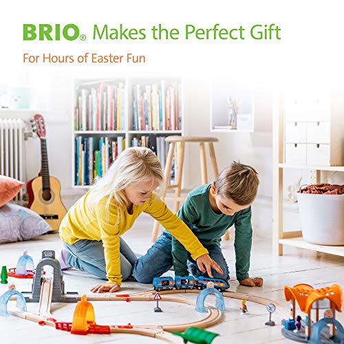 BRIO- Juego Primera Edad, 3+ (33388)