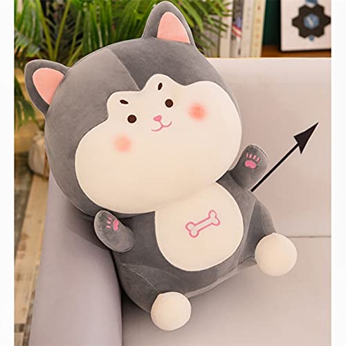 CACAIMAO Cachorros Lindos Y Suaves, Osos, Gatitos, Juguetes De Peluche, Almohadas Cómodas para Niños, Regalos Creativos para Niños Adultos, Adornos De Decoración del Hogar Height 25cm