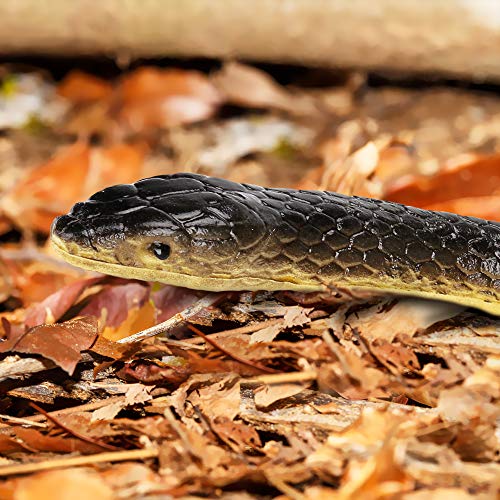 CestMall Serpiente de Goma Grande, 2 Piezas de Serpiente Realista de Goma aterradora, Serpiente Mamba Negra Grande Falsa para Accesorios de jardín, bromas, Juguetes de Broma, decoración de Halloween