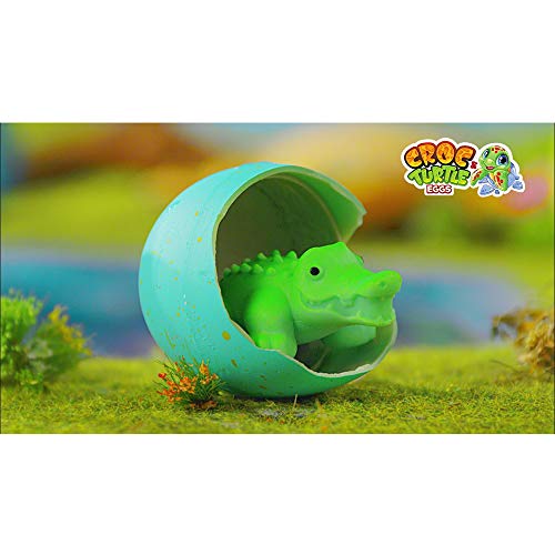 Croc & Turtle Eggs - Pack de 4 Sobres