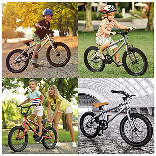 DHMKL 16/20 Pulgadas Bicicleta MontañA NiñOs,Bicicleta Infantil MontañA/Cuadro Acero con Alto Contenido Carbono/Freno En V/Rueda Auxiliar ExtraíBle/Guardabarros Gratis/NiñOs Mayores6AñOs