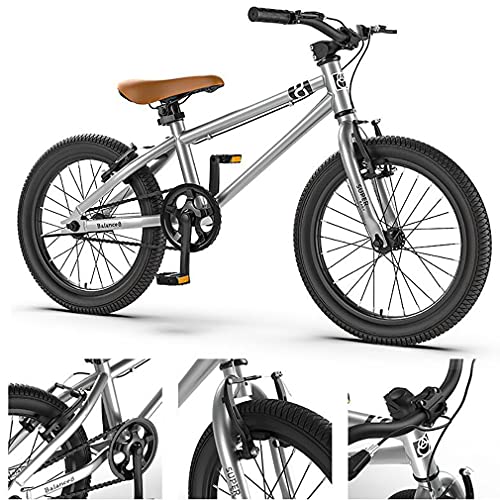 DHMKL 16/20 Pulgadas Bicicleta MontañA NiñOs,Bicicleta Infantil MontañA/Cuadro Acero con Alto Contenido Carbono/Freno En V/Rueda Auxiliar ExtraíBle/Guardabarros Gratis/NiñOs Mayores6AñOs