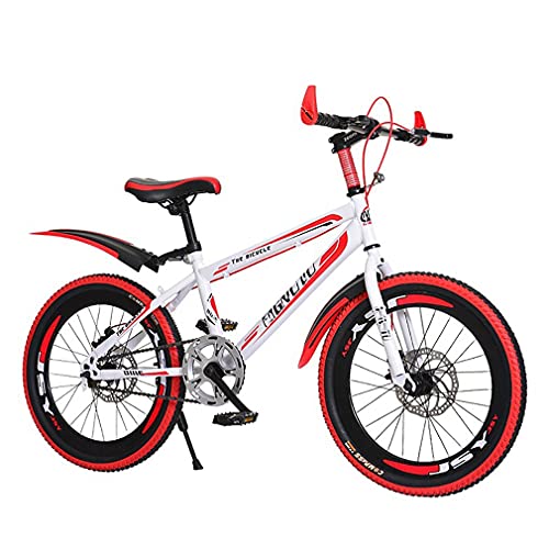 DHMKL 20/22/24 Pulgadas MTB Bici Infantiles,Bicicleta MontañA NiñOs/Freno Disco/Cuadro Acero con Alto Contenido Carbono/Asiento Ajustable/Bicicleta NiñOs/para NiñOs Mayores 6 AñOs