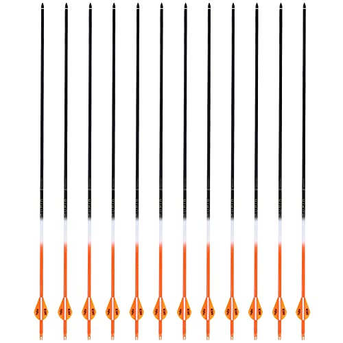 Dibiao Flecha de Carbono Tiro con Arco 12 Unids/Lote Flechas de Práctica de Caza de 32 3 Pulgadas para Arcos Recurvos Tiro con Arco Caza 7 6Mm Flejado 500 Columna Vertebral