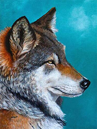 DIY pintura de animales por números kits de pintura de lienzo imágenes por números imagen de lobo para la decoración del hogar de la sala de estar A5 40x50cm