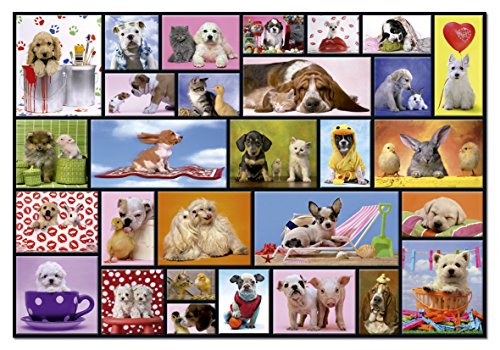 Educa - Momentos Compartidos Animales Puzzle, 1000 Piezas, Multicolor (15518)