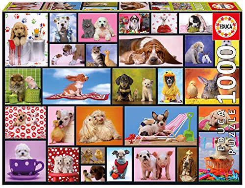 Educa - Momentos Compartidos Animales Puzzle, 1000 Piezas, Multicolor (15518)