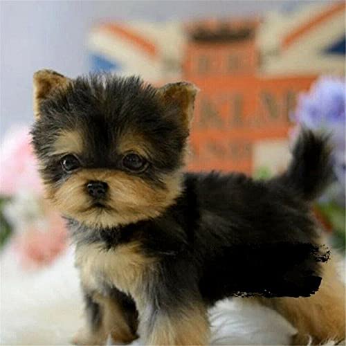 FHDD Linda simulación Mullido Little Yorkie Perro Perrito Muñecas Rellenas Yorkshire Terrier Dog Peluche Adornos Niños Mascotas Regalos