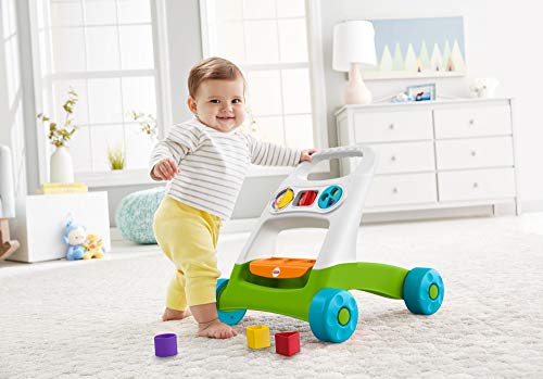 Fisher-Price - Andador activity Correpasillos bebés +9 meses (Mattel FYK65)