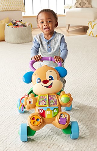 Fisher-Price SS Puppy Walker - IT/QE