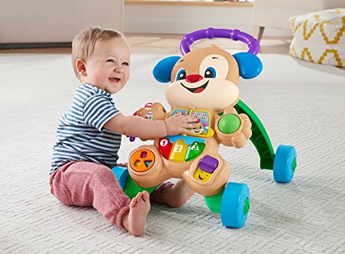 Fisher-Price SS Puppy Walker - IT/QE