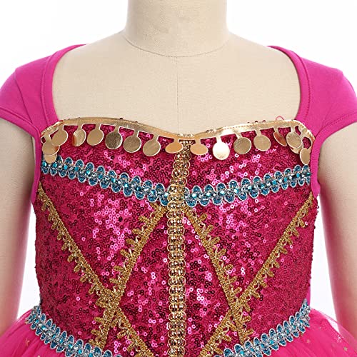 IWEMEK Disfraz Aladdin Jazmín Niña Vestidos Princesa Jasmín con Lentejuelas Niñas Pequeñas Vestido Largo Cuento Hadas Traje Parte Ceremonia Fiesta Cumpleaños Halloween Navidad Rosa 11-12 años